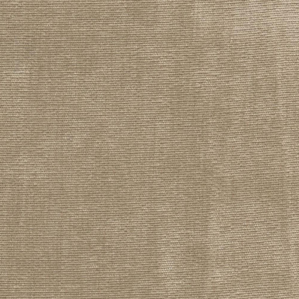 Элли светлая